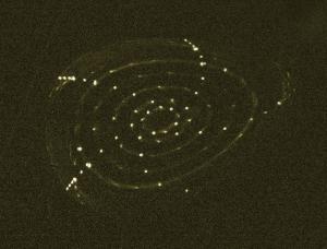 Poincare-Plot_mit_Fluoreszenzstab_2.jpg