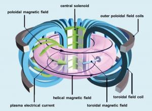 tokamak_field_lines.jpg