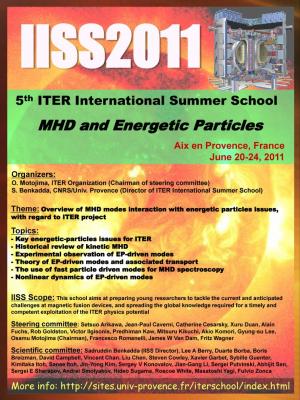 IISS 2011_POSTER.jpg